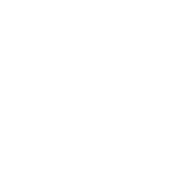 Pigeon Studios logo